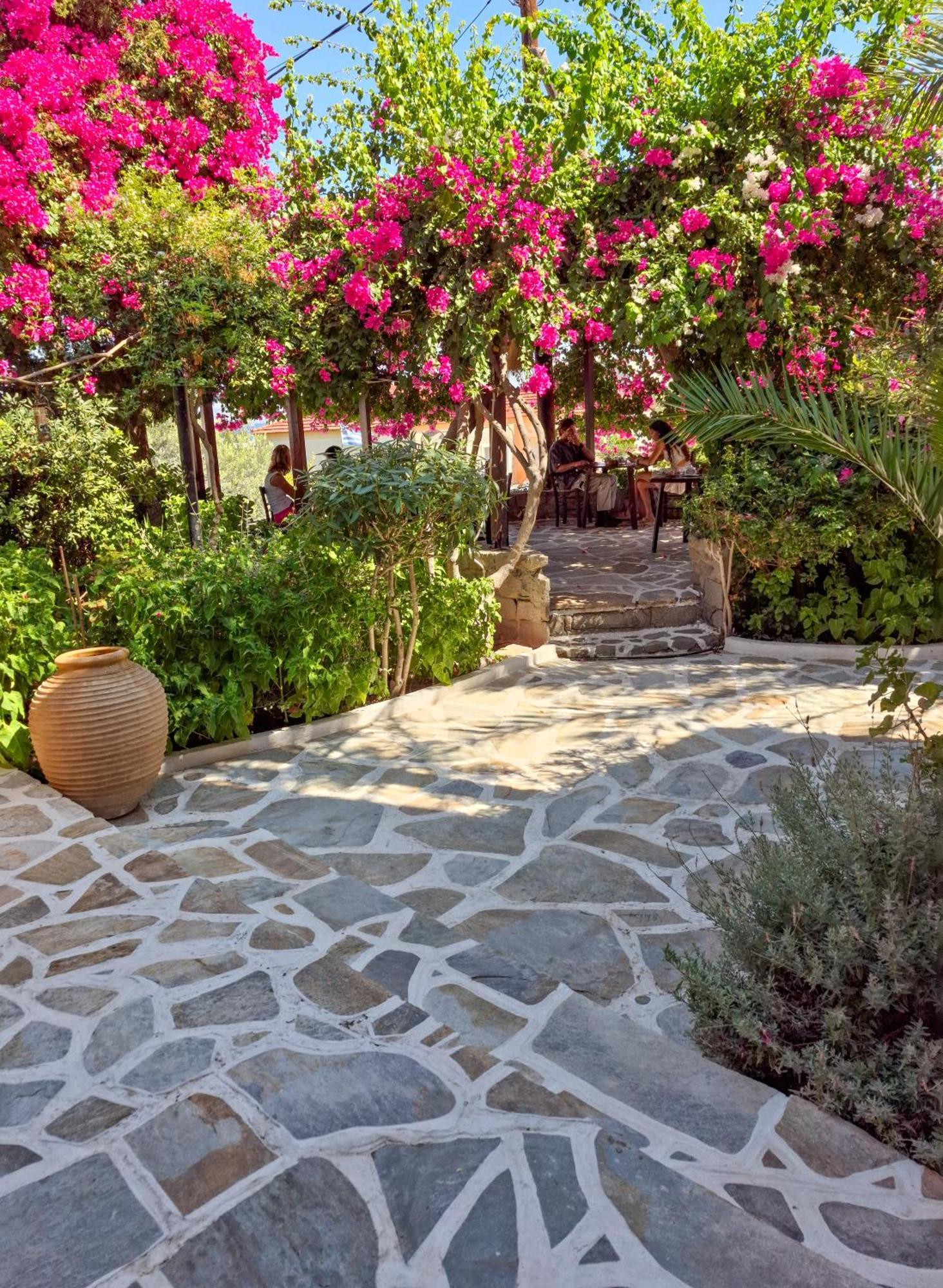 Vagia Traditional, Aegina Island Exteriör bild